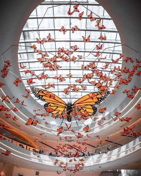 Marvel at the Diversity of Butterflies at the Magical Wings Exhibit